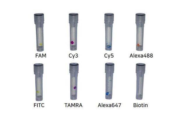Pna Fish Innovative healthcare technologies for Molecular Diagnostics & Cancer ...
