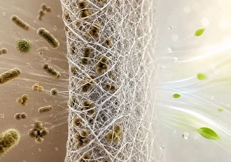 Bacterial Protection